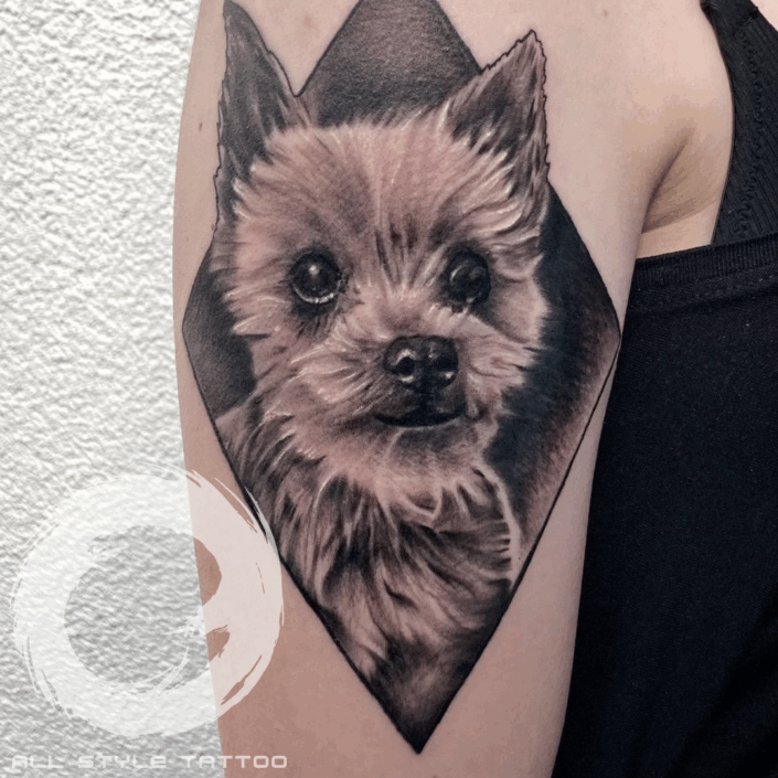 Hyperrealistisches Tier-Tattoo auf dem Arm – gestochen in Lübbenau im Spreewald All Style Tattoo Studio